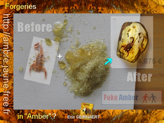 L'ambre révèle la couleur d'insectes vieux de 99 Ma - Sciences et