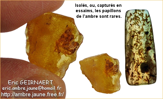 Jouets Dextraction De Fossiles Minéraux De Pierres - Temu Canada